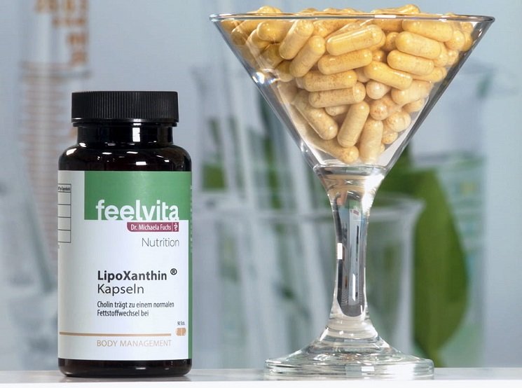 Lipo Xanthin Kapseln