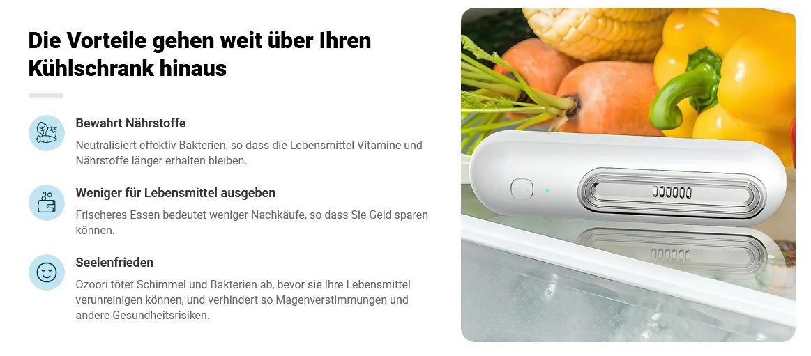 Ozoori Fridge Deodoriser