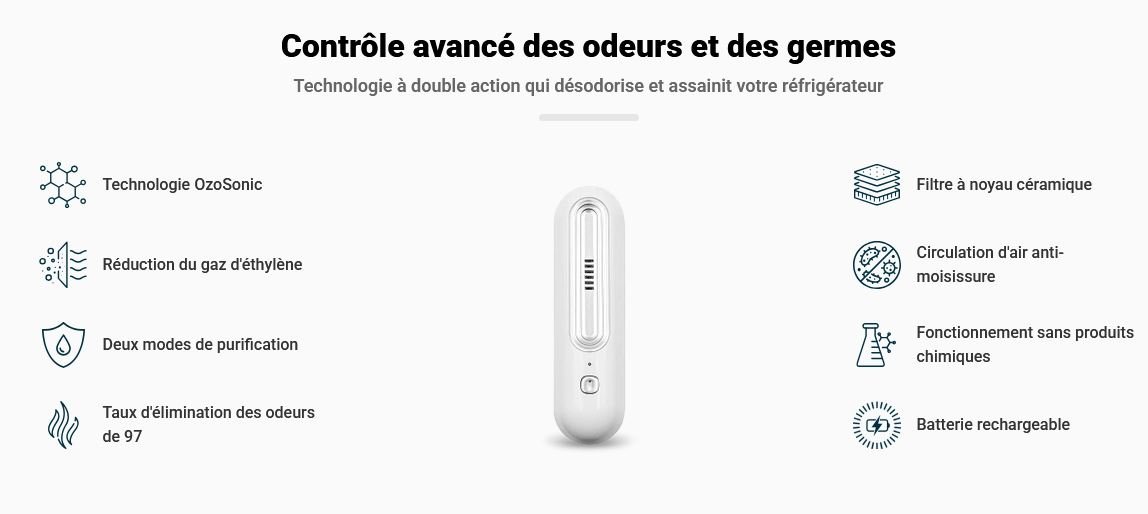 Ozoori désodorisant pour réfrigérateur