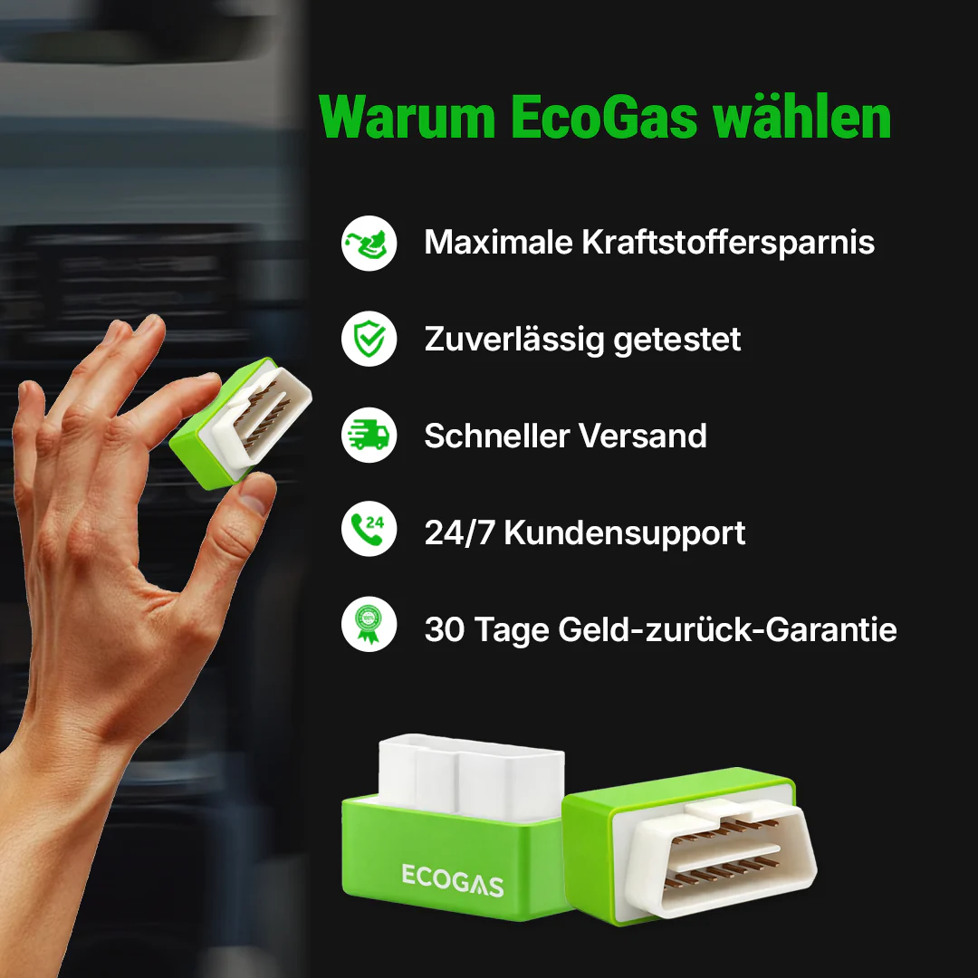 EcoGas Chip 1