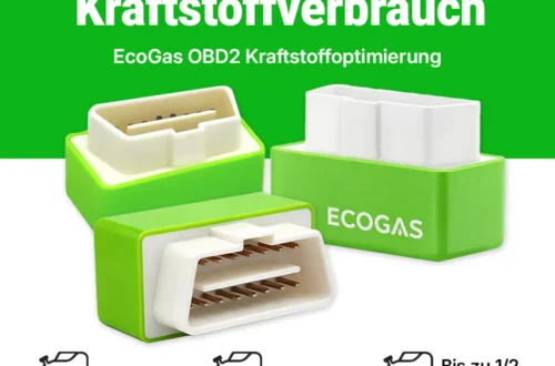 EcoGas Chip 3