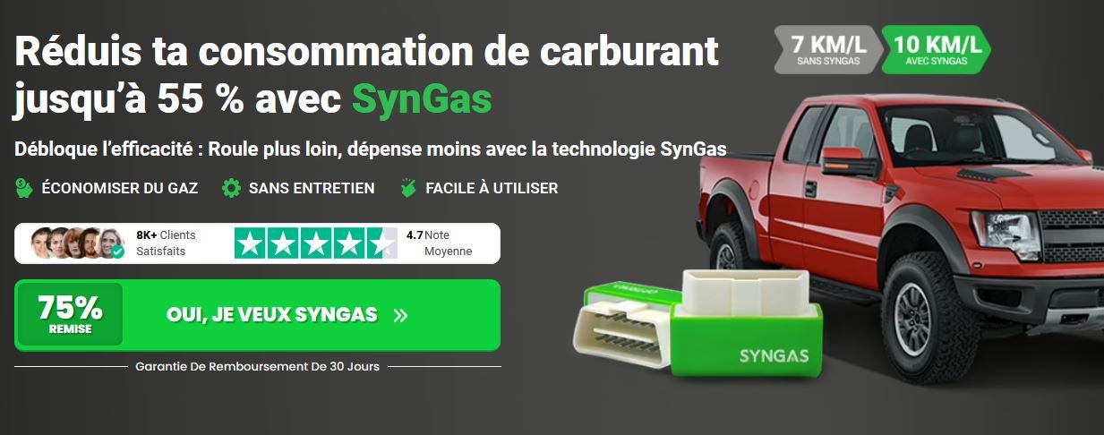 Syngas OBD Fuel Saver 1