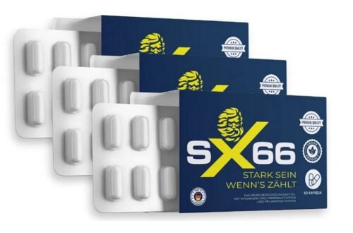 SX66