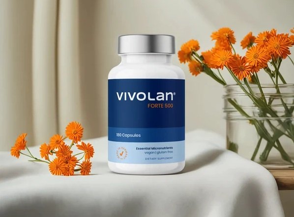 Vivolan Forte 500 1